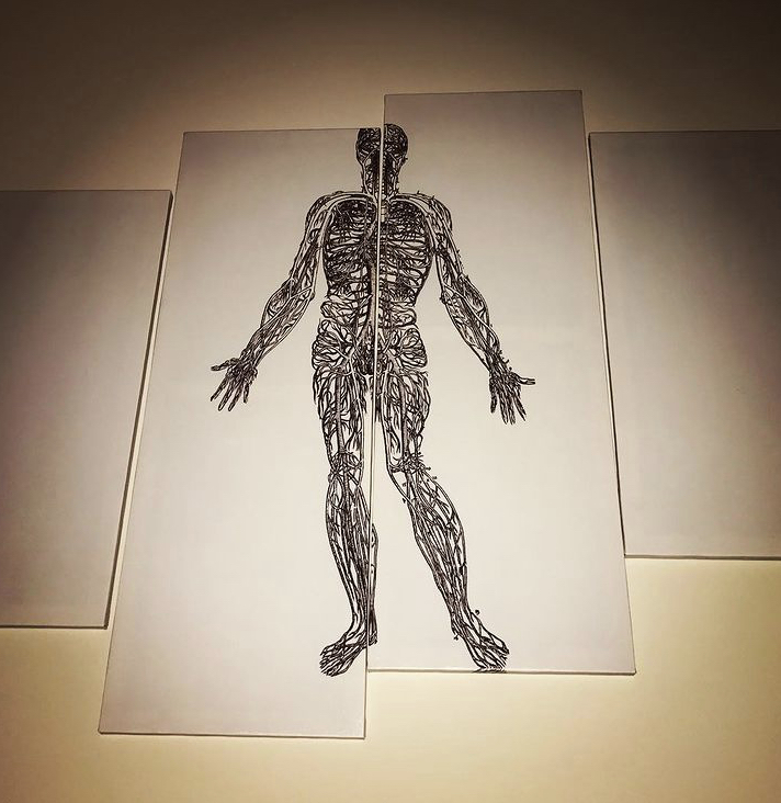 Poehlman Chiropractic & Nutrition Center